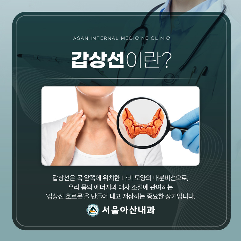 갑상선의 역할